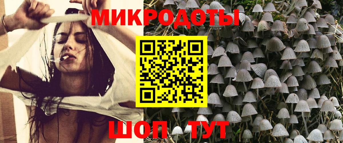 Галлюциногенные грибы Magic Shrooms Анапа